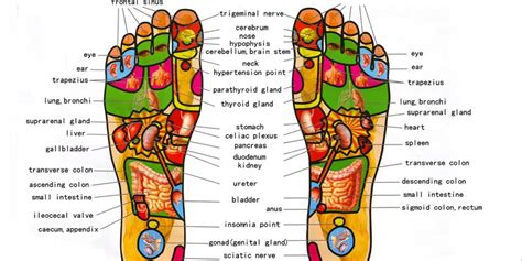 foot reflexology near me